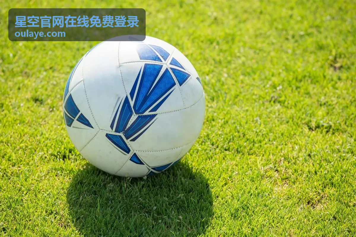 星空官网在线免费登录账号输入区界面样式