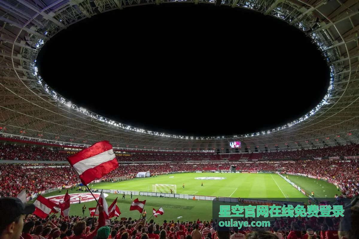 星空官网在线免费登录首页入口按钮位置示意