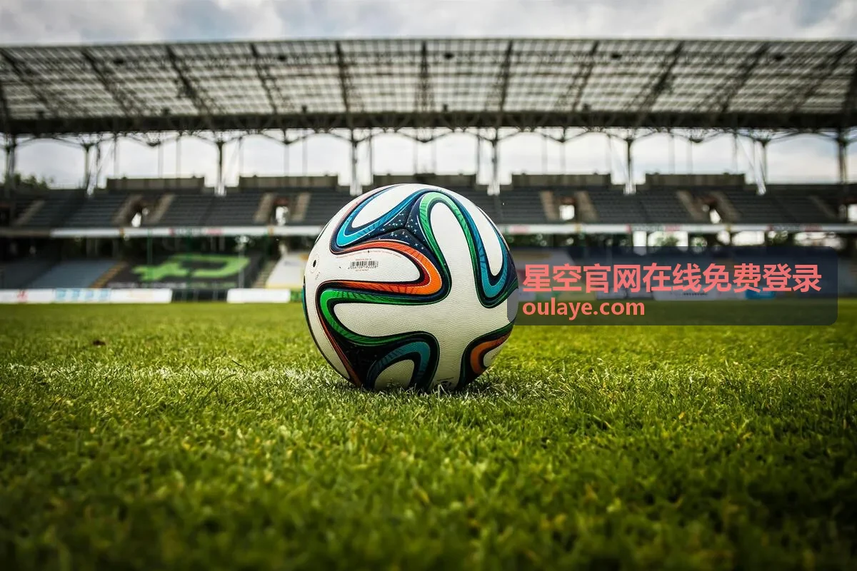 星空官网在线免费登录验证码填写状态