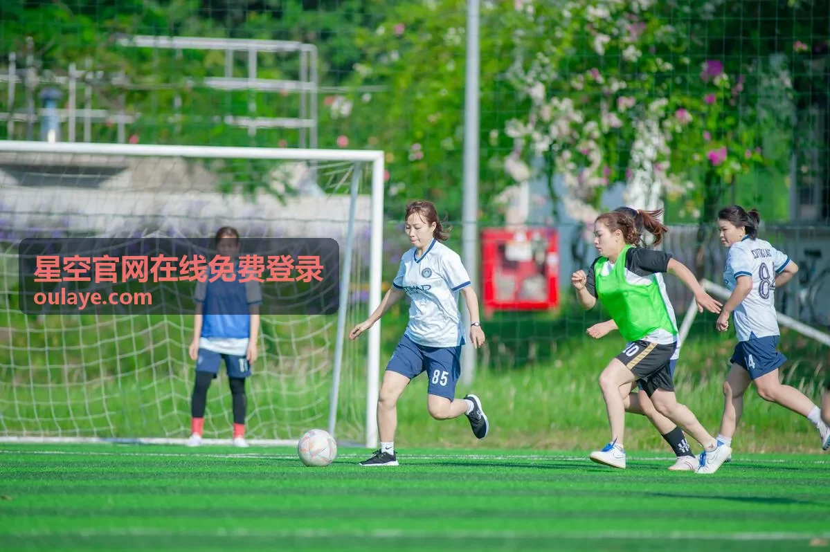 星空官网在线免费登录操作频繁提示处理示意