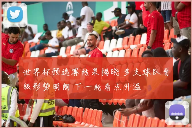 世界杯预选赛结果揭晓 多支球队晋级形势明朗 下一轮看点升温