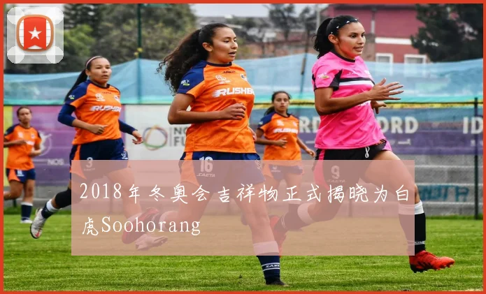 2018年冬奥会吉祥物正式揭晓为白虎Soohorang