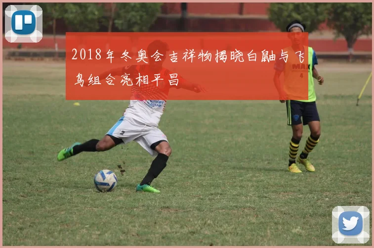 2018年冬奥会吉祥物揭晓白鼬与飞鸟组合亮相平昌